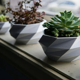 Geometrische Vase I Modern I Art I Pflanze I