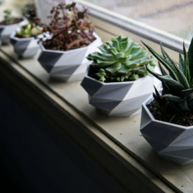 Geometrische Vase I Modern I Art I Pflanze I